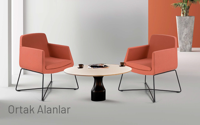 Ortak Alanlar